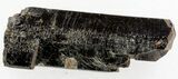 Fluoro-Magnesiokatophorite crystal - Ontario, CA #37796-1